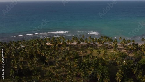 Aerial drone video of tropical paradise beach with blue waters, white sand and palm trees in Samana, Dominican Republic, Caribbean.