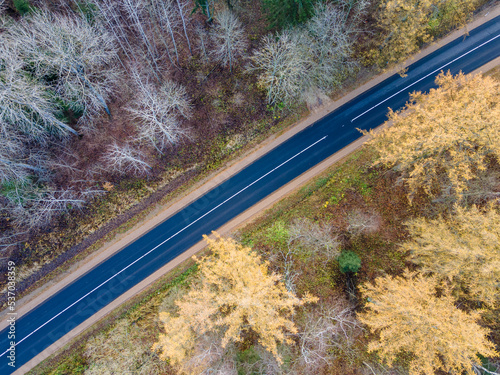 paved road through an autumnal forest