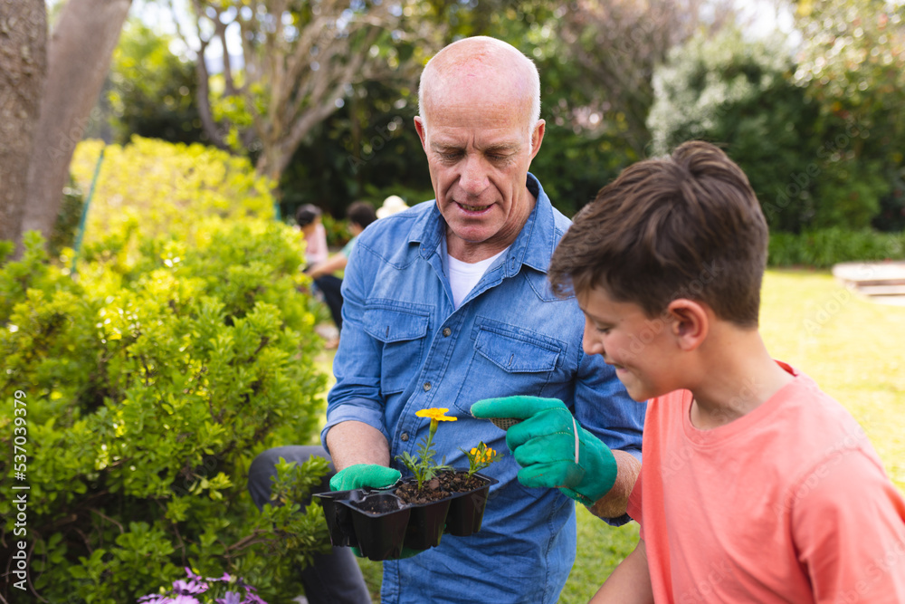 Caucasian grandfather and grandson spending time together in the garden, planting Caucasian grandfather and grandson spending time together in the garden, planting