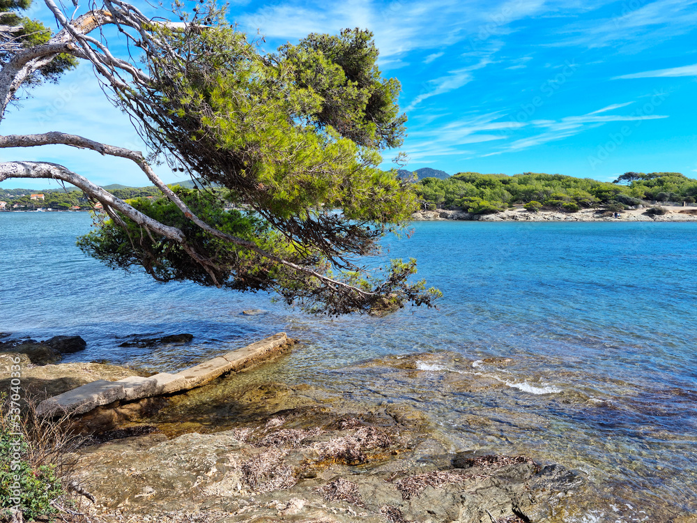 Fototapeta premium View of the Embiez island, South of France