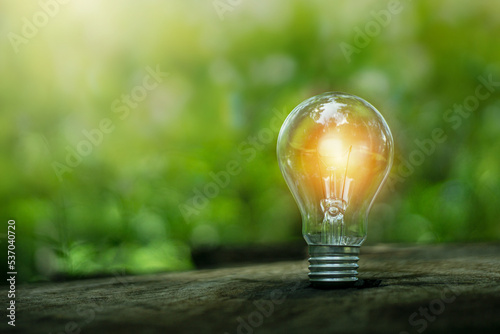 Принти на полотні Green energy concept