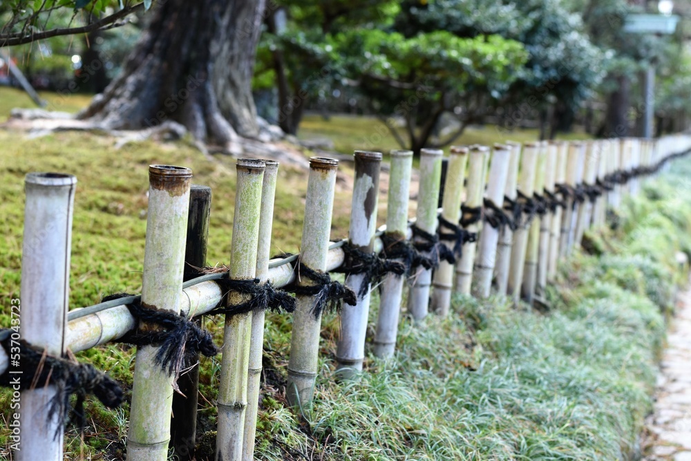 竹の柵と苔 Stock Photo 