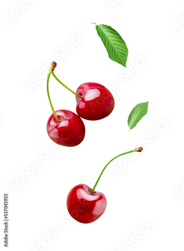 Sour cherry berries isolated on white or transparent background. Falling cherry fruits with green stem and leaf.