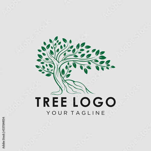 Akar Dari Pohon logo ilustrasi. Siluet vektor pohon.