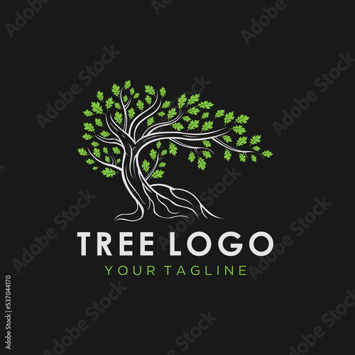 Akar Dari Pohon logo ilustrasi. Siluet vektor pohon. photo