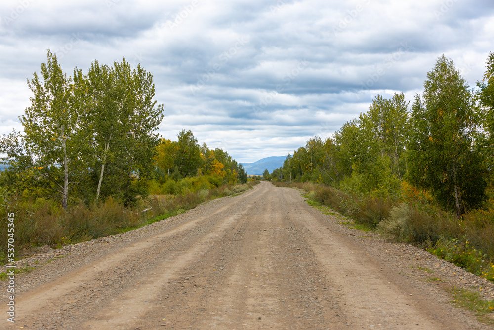 Naklejka premium Landscape of empty rural gravel road in cloudy day. Dirt not asphalted road