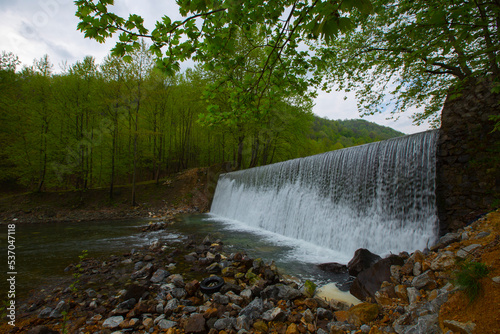 Kazandere woodland, Kiyikoy, Vize photo