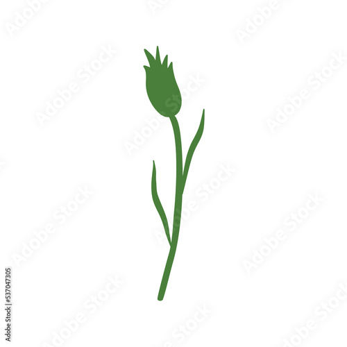 Decorative Cornflower knapweed vector hand drawn illustration isolated on white  colorful flower shape  Centaurea botanical herb green silhouette for design herbal tea  natural cosmetic  greeting card