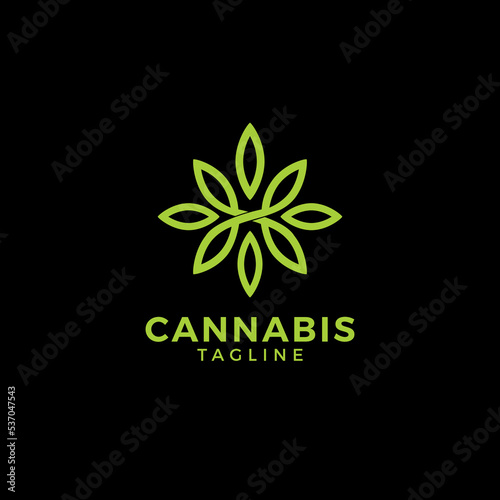 cannabis weed vector template. hemp leaf graphic illustrations.