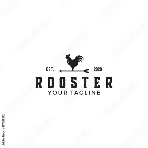 rooster vector graphic template. chicken animal vintage illustrations