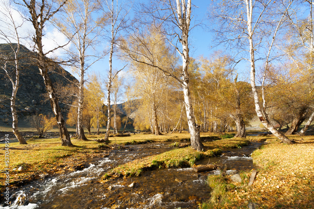 The autumn landscape of Altai Republic, Siberia, Russia