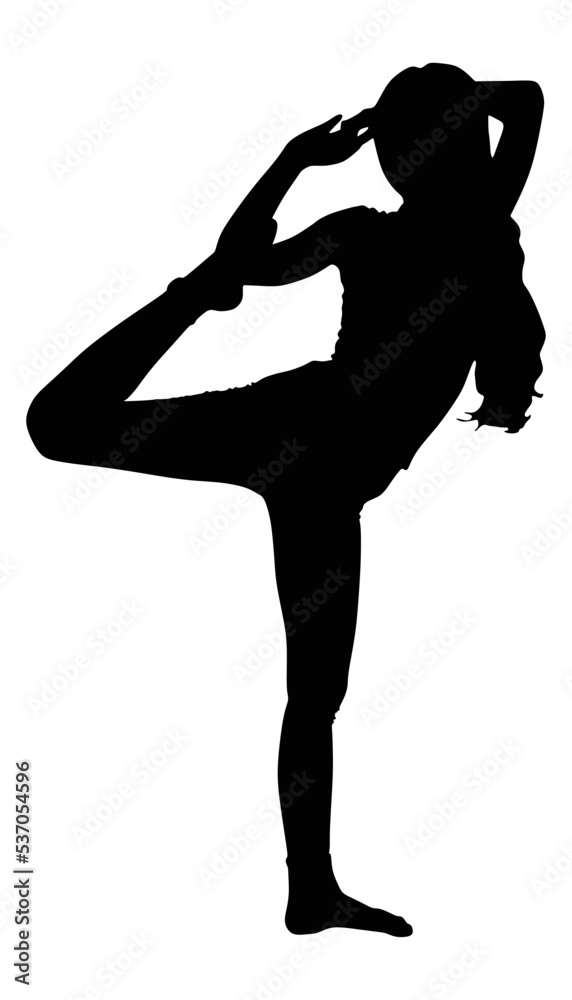fitness woman doing exercise, vector fitness woman doing exercise, vector