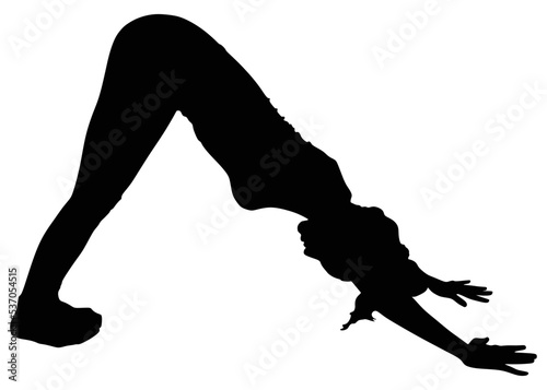 fitness woman doing exercise, vector