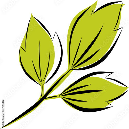 Colorful autumn leaves. Simple cartoon flat style. Isolated on white background vector illustration. Design for stickers, logo, web and mobile app.