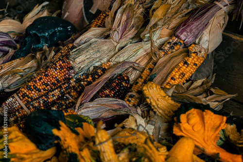 corn in the market