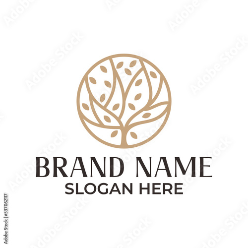Fototapeta Naklejka Na Ścianę i Meble -  Oak tree logo. Nature brand identity line icon. Modern natural Oak wood symbol Vector illustration