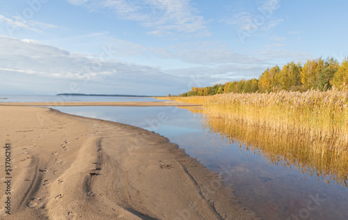 Fototapeta Naklejka Na Ścianę i Meble -  Autumn colours at Gulf of Bothnia