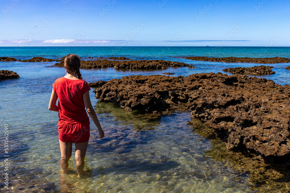 beautiful girl in red dress stands in coral reef water in daintree national park, vacation in queensland, australia; daintree rainforest