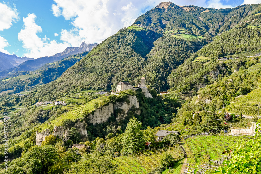 Dorf Tirol, Schloss Tirol, Algund, Weinberg, Weinpergola, Wanderweg, Waalweg, Vinschgau, Südtirol, Texelgruppe, Herbst, Herbstsonne, Erntezeit, Italien