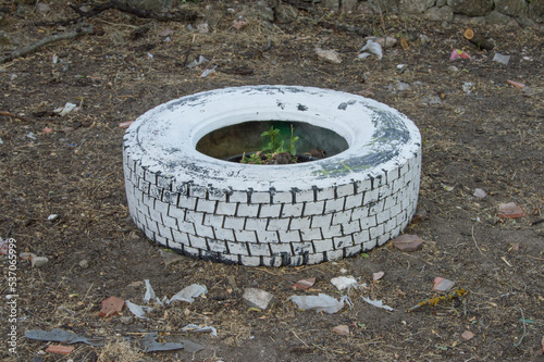 a bad old tire painted white lying on the dirt floor © claverinza