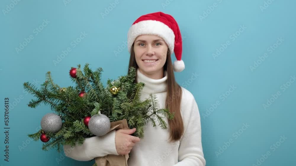 Portrait of happy young female wear white sweater and Christmas red hat holding bouquet of spruce branches say hush be quiet with finger on lips shhh gesture, posing over blue studio background wall Portrait of happy young female wear white sweater and Christmas red hat holding bouquet of spruce branches say hush be quiet with finger on lips shhh gesture, posing over blue studio background wall