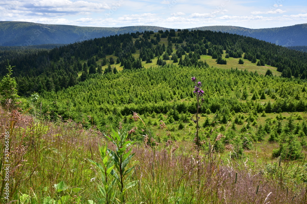 Views of Hruby Jesenik, Jeseniky Mountains