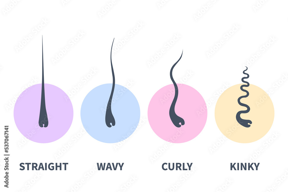 Straight, wavy, curly, kinky hair types classification system set