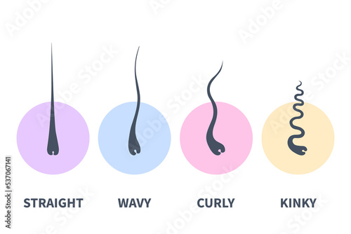 Straight, wavy, curly, kinky hair types classification system set. Detailed human hair growth style chart. Health care and beauty concept. Vector illustration.