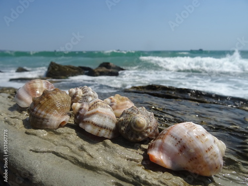 Nice summer view from Varna in Bulgaria 