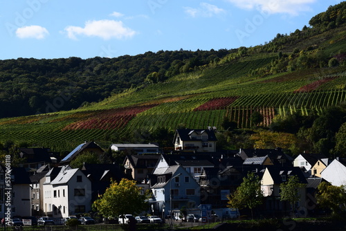 Ellenz an der Mosel mit Herbstlichen WEinbergen photo