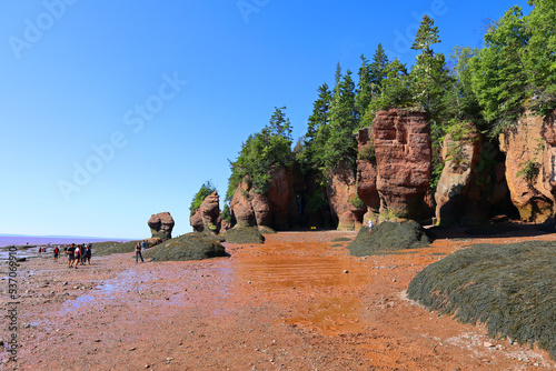 Hopewell Rocks Park in Canada, located on the shores of the Bay of Fundy in the North Atlantic Ocean photo