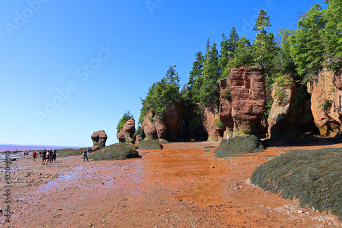 Hopewell Rocks Park in Canada, located on the shores of the Bay of Fundy in the North Atlantic Ocean