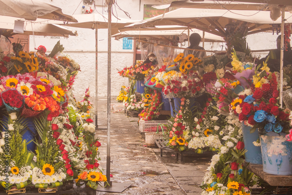 A flowers Plaza in Ecuador