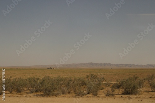 field with yellow grass and hills on the horizon