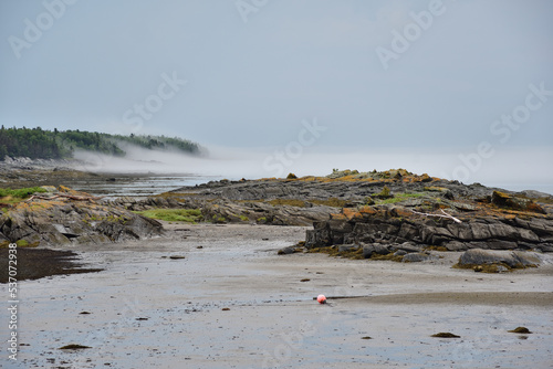 Fog rolling on shoreline on a cloudy morning at Ile aux lievres in the middle of St Lawrence river photo