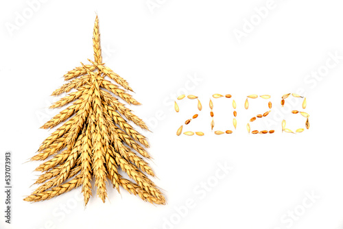 Creative Christmas tree made of wheat ears.New year 2023 made of grains on a black background.Creative New Year's flat lay.