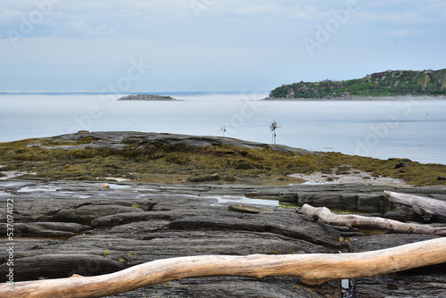 Rocky shoreline with wood log in the foreground. Fog surrounding little island on St-Lawrence river