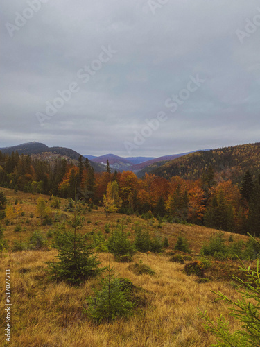 autumn in the mountains