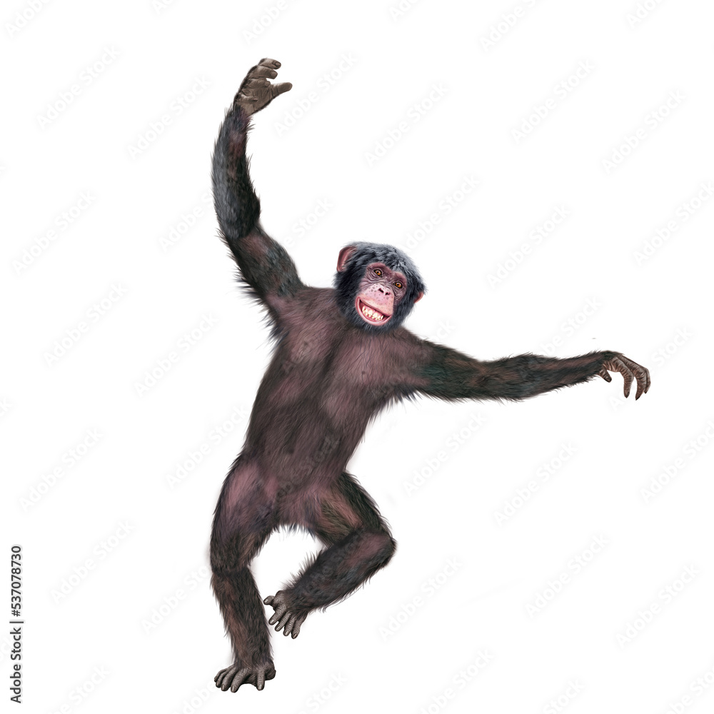 chimpanzé, attitude, mouvement, gesticule, singe, expression, mammifère, jardin zoologique, illustration, animal, fourrure, bonobo, nature, sauvage, faune, drôle, chimpanzé, attitude, mouvement, gesticule, singe, expression, mammifère, jardin zoologique, illustration, animal, fourrure, bonobo, nature, sauvage, faune, drôle,