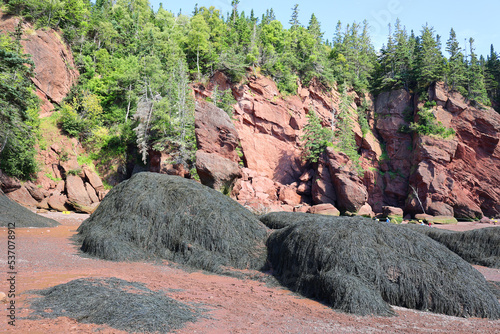 Hopewell Rocks Park in Canada, located on the shores of the Bay of Fundy in the North Atlantic Ocean