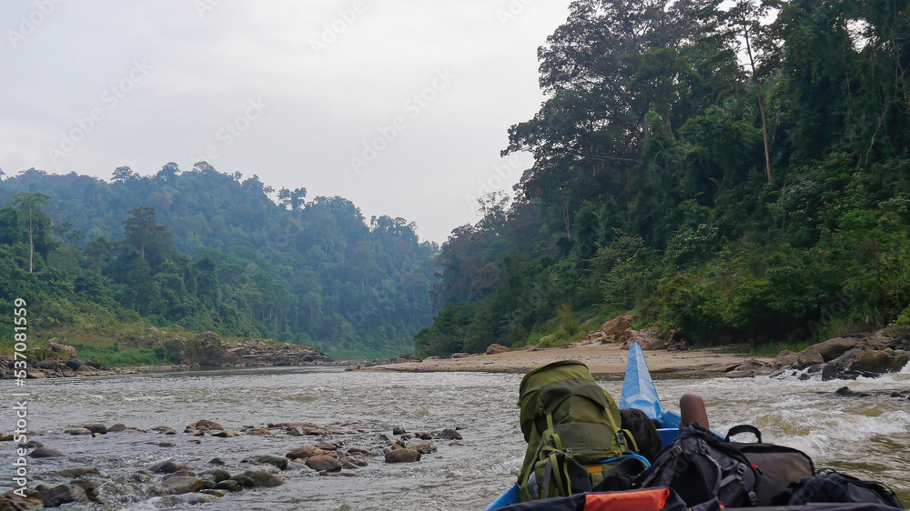 Low-angle view of a boat in a river in jungle rainforest, Taman Negara National Park, Malaysia