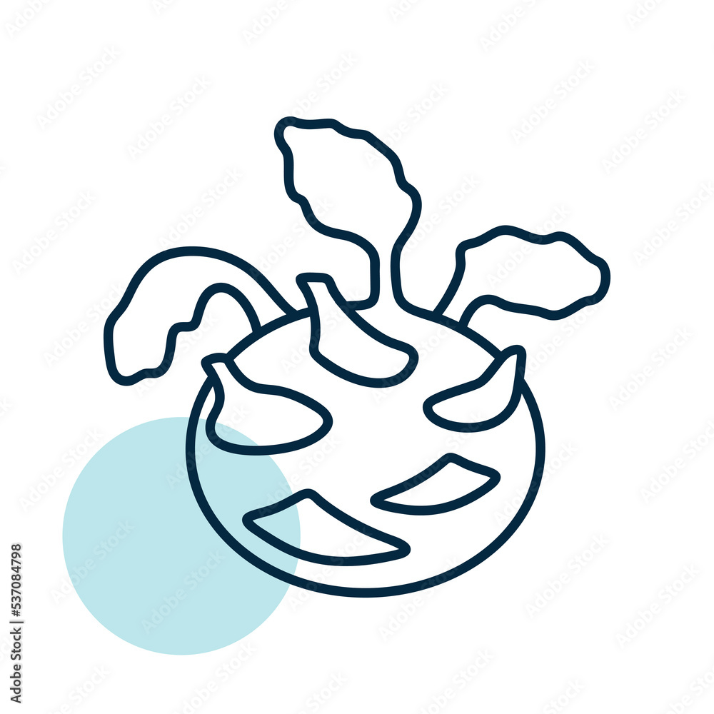 Kohlrabi or German Turnip isolated vector icon Kohlrabi or German Turnip isolated vector icon