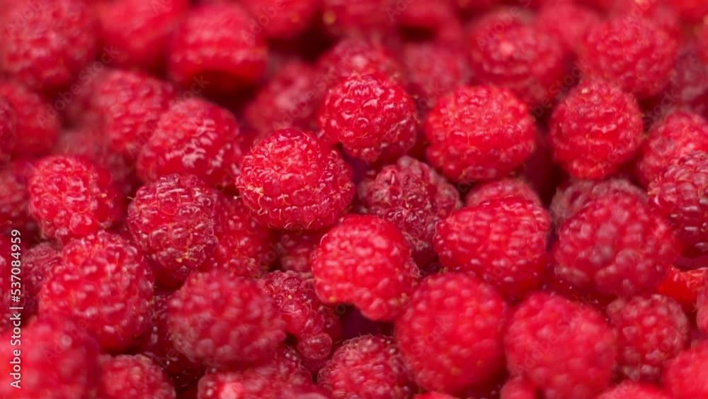 Juicy Ripe Raspberries, Macro. Raspberry Summer Berries, Close-up, Rotation, Top View. Background from Raspberry. Healthy food. Harvest. Juicy Ripe Raspberries, Macro. Raspberry Summer Berries, Close-up, Rotation, Top View. Background from Raspberry. Healthy food. Harvest.