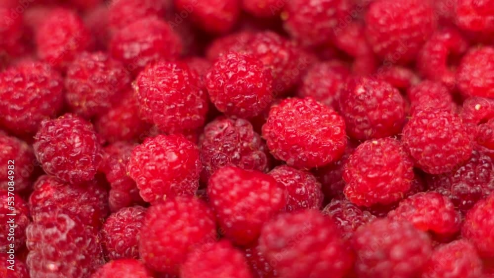 Ripe Raspberries, Close-up, Spin. Isolated Background from Raspberries, Berries. Raspberry harvest. Healthy Vegan Vitamin Food. Ripe Raspberries, Close-up, Spin. Isolated Background from Raspberries, Berries. Raspberry harvest. Healthy Vegan Vitamin Food.