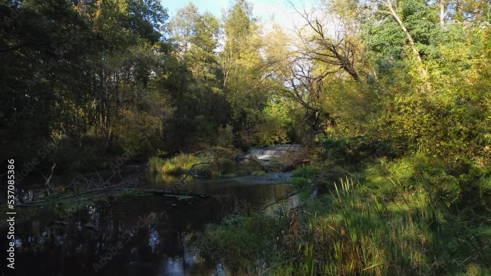A view of a small, wild river in central Poland. A view of a small, wild river in central Poland.