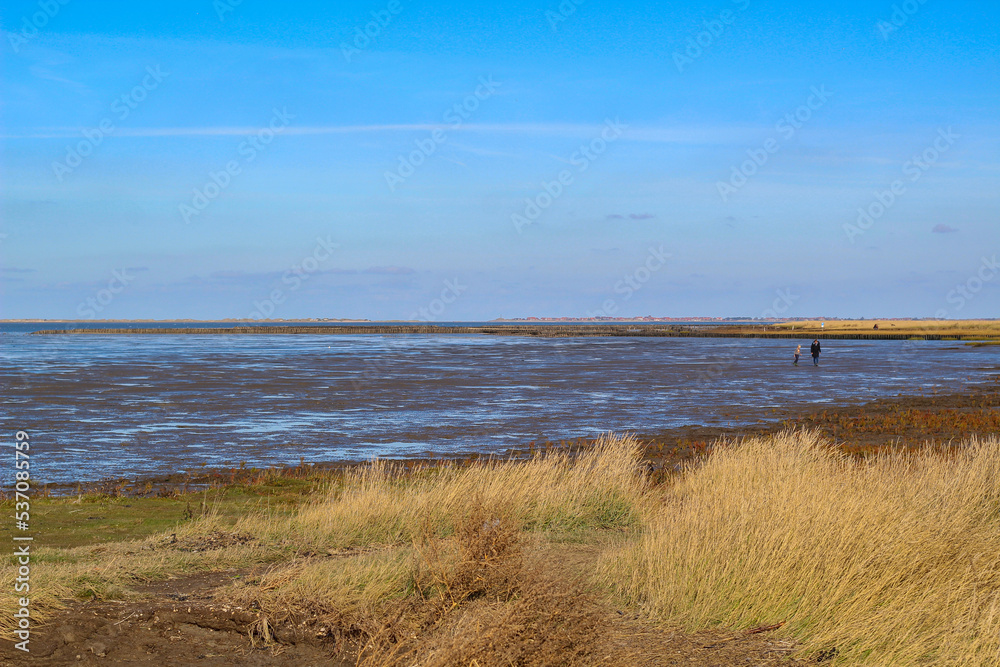 The wadden sea by Hilgenriedersiel The wadden sea by Hilgenriedersiel