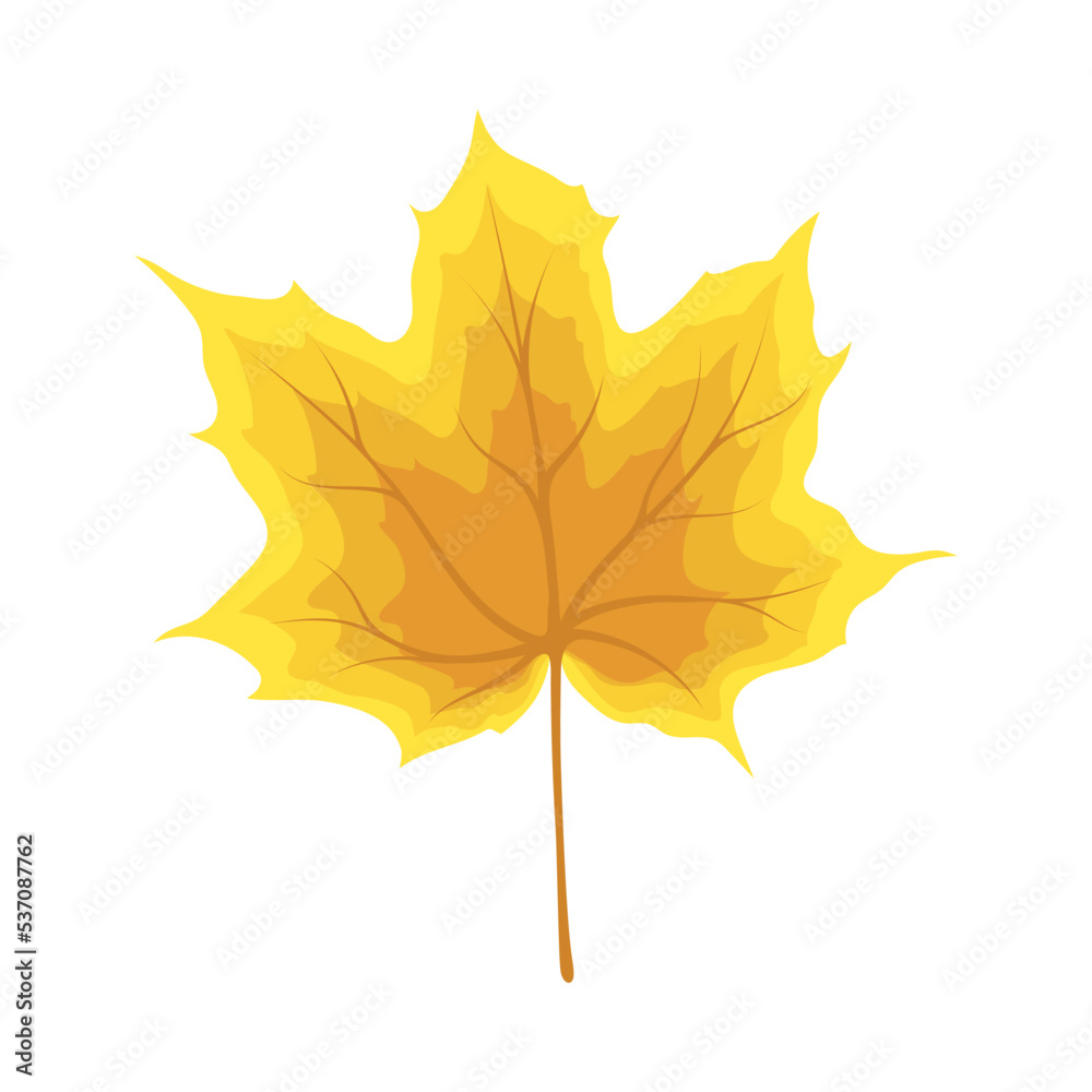 Obraz premium Maple Autumn Leaf