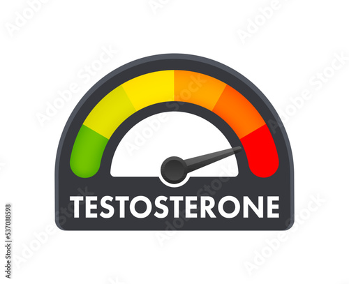 Testosterone level metering scale. Sign tachometer, speedometer, indicators. Vector stock illustration.