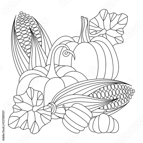 Harvest, coloring book page. Corn cobs and Pumpkins,