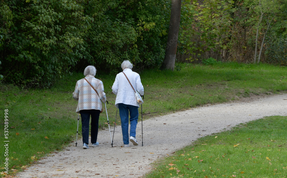 Fototapeta premium seniorinnen auf parkweg